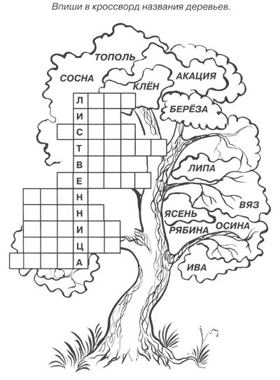 Кроссворд про окружающий мир. Задания по окружающему миру. Задания по окружающему миру 1 класс. Интересные кроссворды для детей. Задания по окружающему миру для начальной школы.