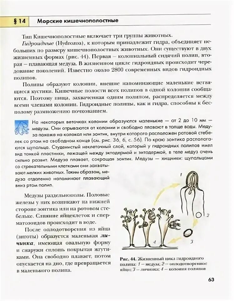 Биология 8 класс константинов читать. Православная биология учебник. Медицинская биология ученик. Учебник по биологии Константинов 10-11.