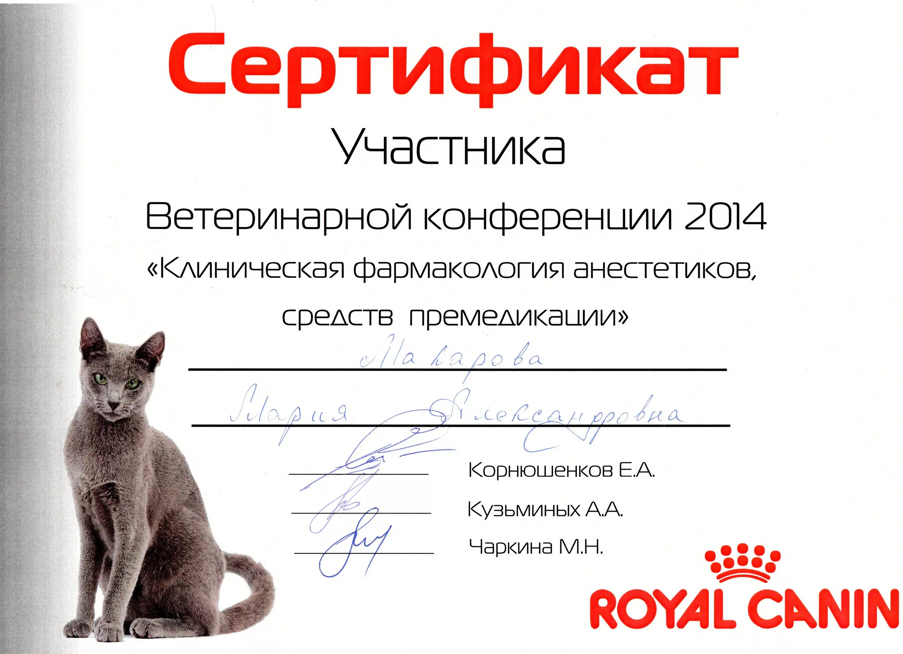 Сертификат ветеринара. Сертификат ветклиники. Сертификат Royal Canin. Грамота Ветеринария. Ветеринарная сертификация