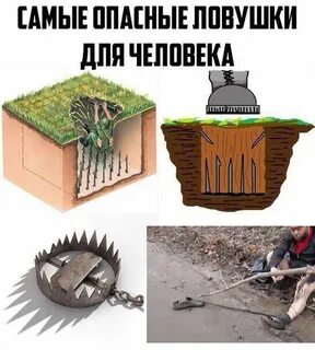Ловушка в которую заманивают кроссворд 7