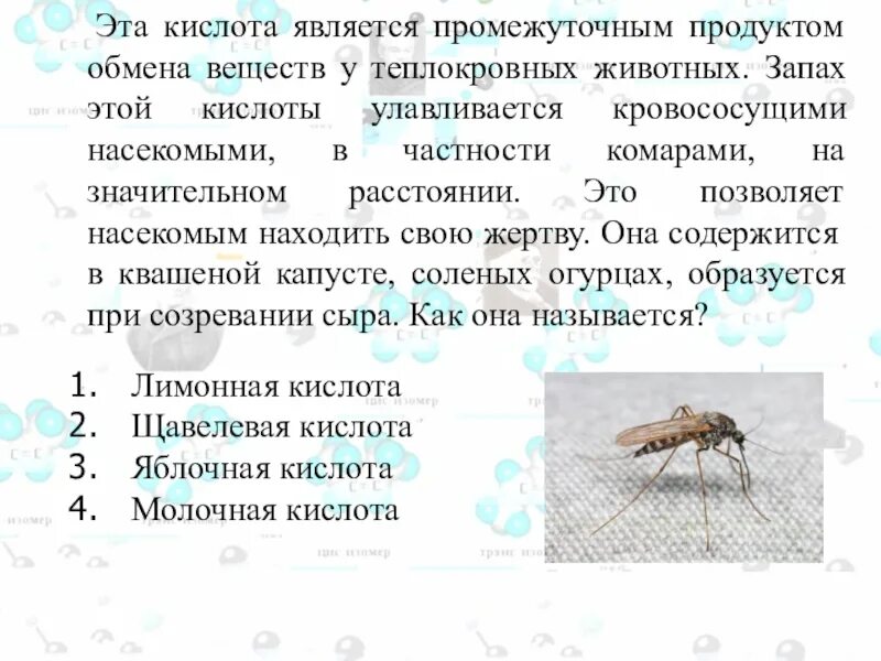 Можно ли считать комара промежуточным хозяином. Как комары находят жертву. Кровососущие комары текст. Теплокровные насекомые. Молочная кислота ЛОВУШКА комаров.