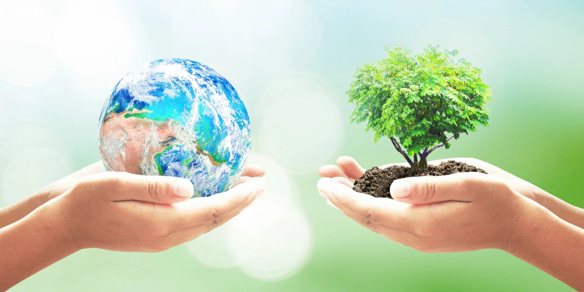 Healthy environment. Healthy environment