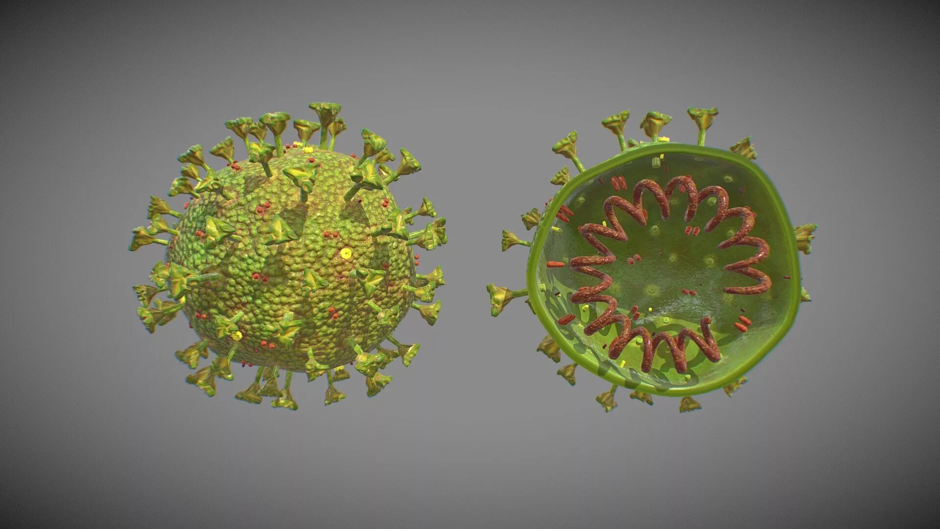 Коронавирус искусственный. Коронавирус SARS-cov-2. Коронавирус модель вируса. Коронавирус Вирион. Coronavirus строение.