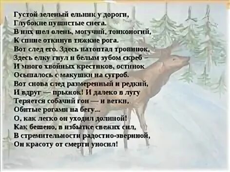 Стихотворение Бунина про оленя. Стих Бунина густой зелёный ельник у дороги. И.А.Бунина "густой зеленый ельник у дороги...". Стихотворения густой зеленый ельник