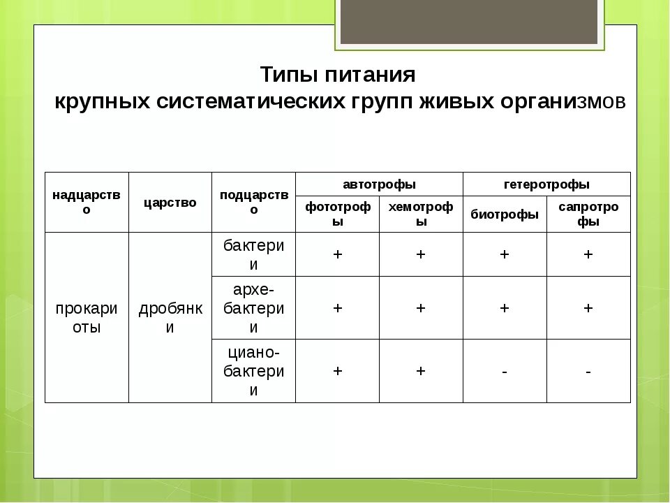 Биология Тип питания живых организмов таблица. Типы питания живых организмов таблица 6 класс биология. Типы питания биология 5 класс. Типы питания живых организмов таблица.