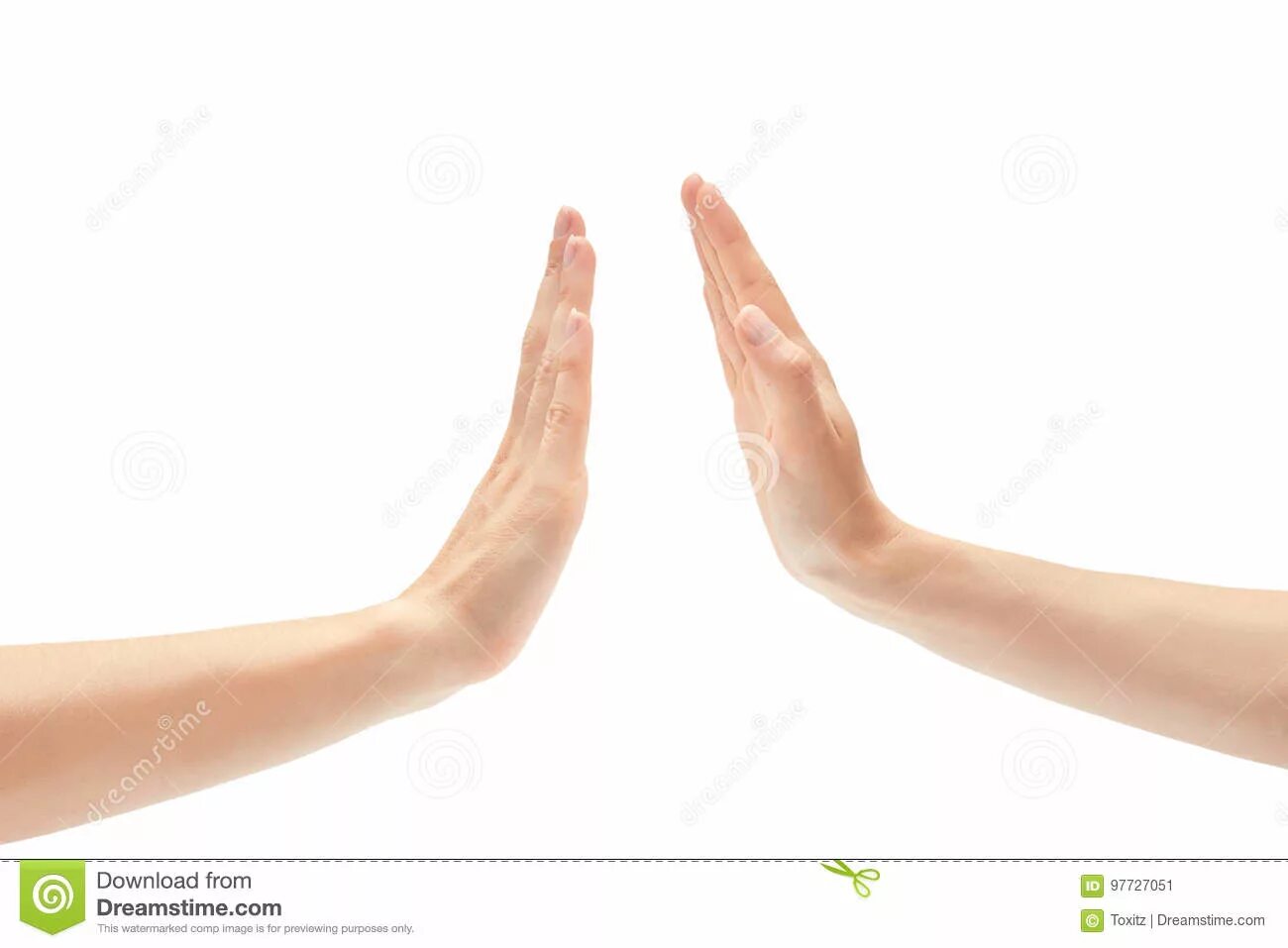 Котик умница. Ладонь приветствие. Пятюня коту. Ладонь пять на белом фоне. Дай пять.