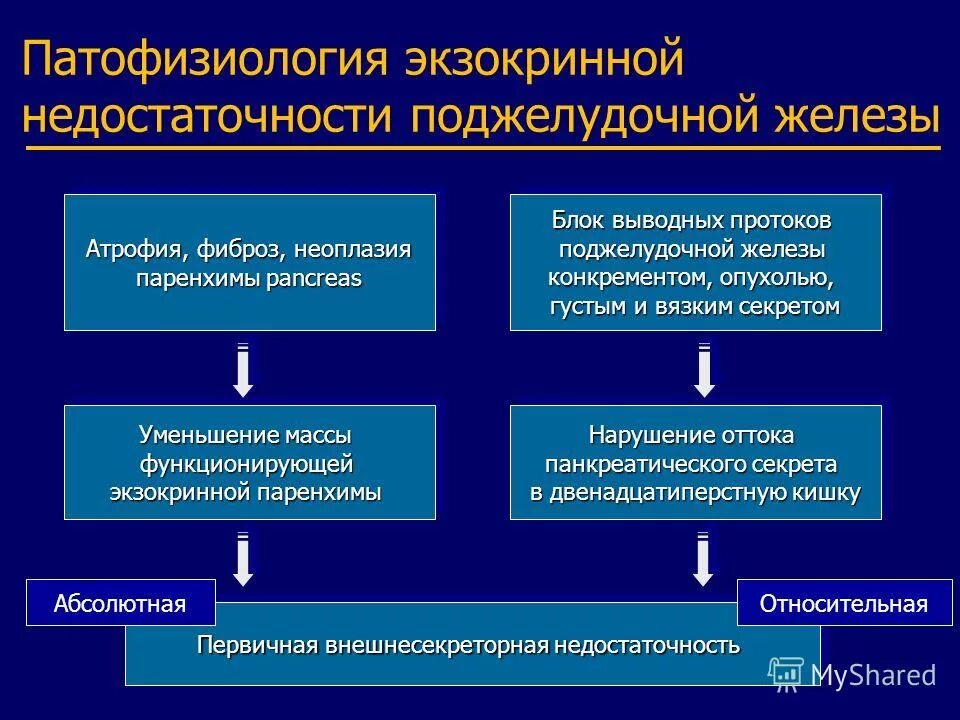 Снижение функции поджелудочной железы. Внешнесекреторная функция поджелудочной железы. Недостаточность экзокринной функции поджелудочной железы. Средства при нарушении экскреторной функции поджелудочной железы. Снижение функции поджелудочной железы.