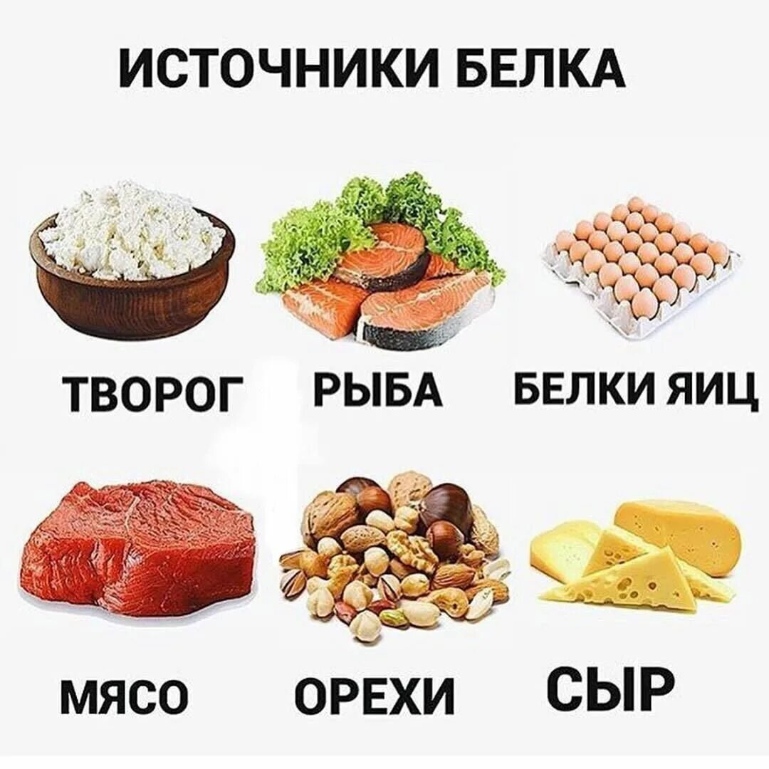 Что содержат белки. Источники белка в продуктах. источники белка в питании. белки продукты. лучшие источники белка.