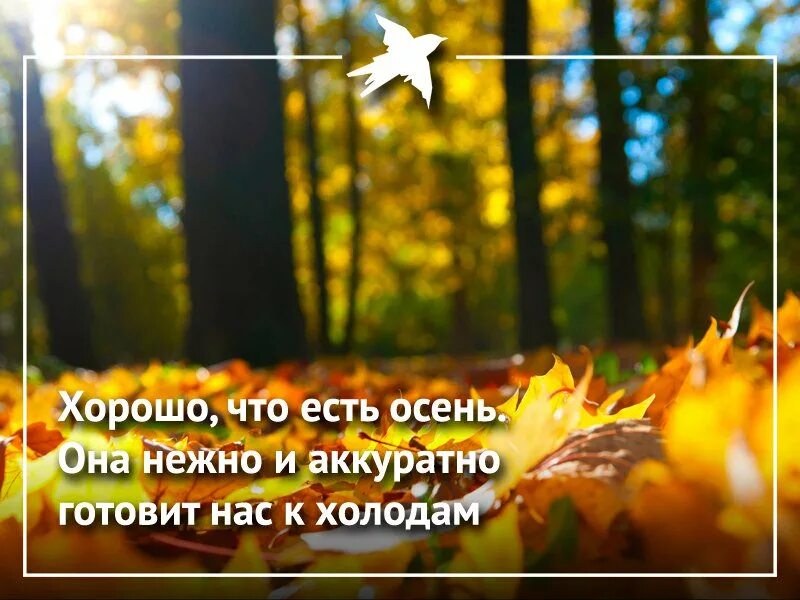 Доброго осеннего субботнего утра и хороших выходных