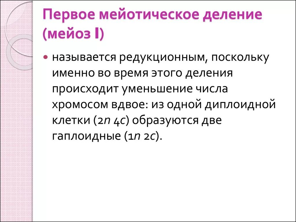 Характеристика первого мейотического деления