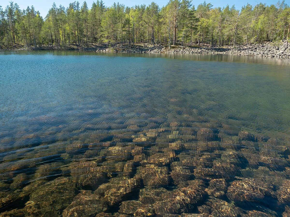 Причины большого количества озер в карелии. Ууксинская озовая гряда. Озеро Лоухиярви Карелия. Озовые гряды в Карелии. Моренные озера Карелия.