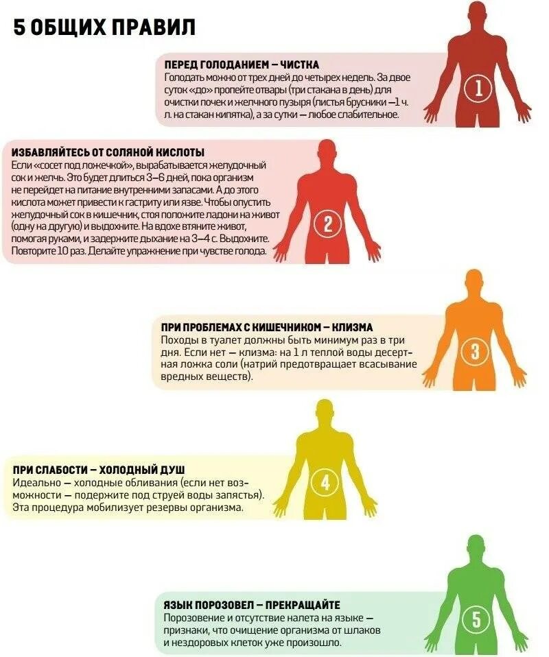 Сколько дней можно голодать. Лечебное голодание схема. День в день осуществляется при. Лечебное голодание. Правильное голодание.