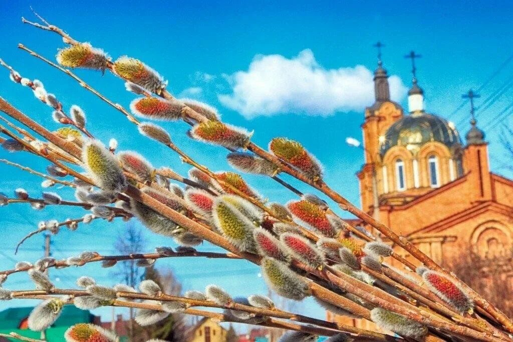 Можно ли на вербное стричь волосы. Верба храм купол. верба в храме. вербное воскресенье дивеево. верба на вербное воскресенье.