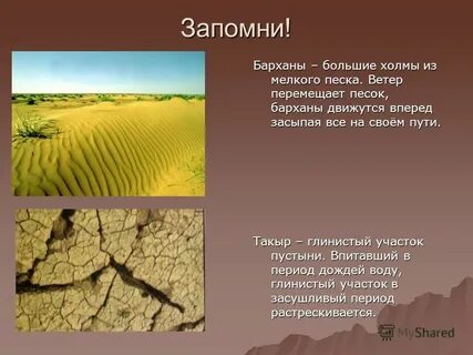 Для этой природной зоны характерны