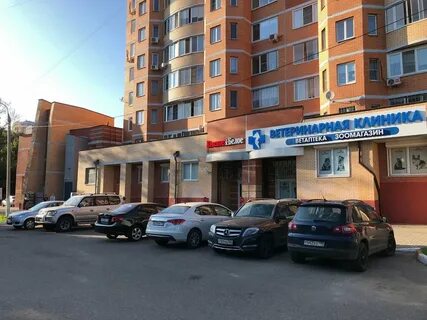 Кучино южная 7