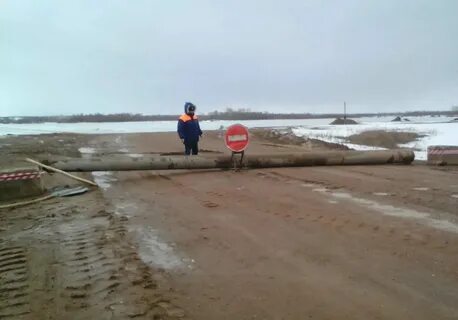 Лучше всех последний паром
