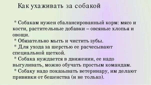 Как ухаживать за собакой. Памятка как ухаживать за собакой. Инструкция как ухаживать за собакой. Памятка об уходе за собакой. Составить текст инструкции