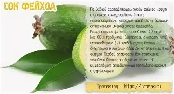 Польза фейхоа для организма женщины