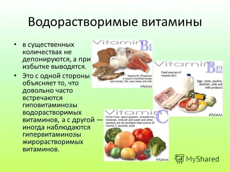 Водорастворимые витамины продукты. Водорастворимые витамины. Водонерастворимые витамины. Водорастворимые витамины водорастворимые витамины. Водорастаоримые витпминв.