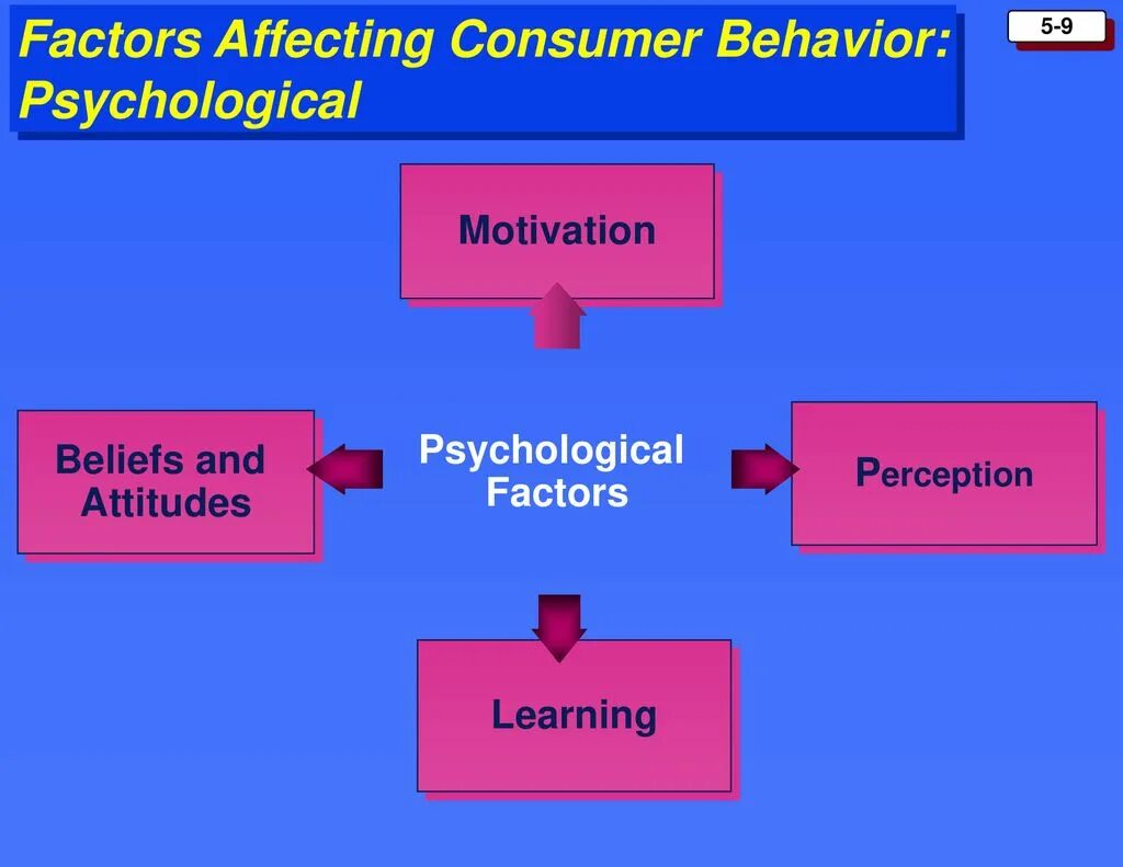 Main factors. Factors of Consumer Behavior. Psychological Factors. Influence Consumer Behavior. Consumer behaviour Psychology.