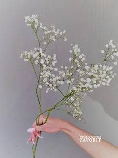 Белые цветы которые добавляют в букет