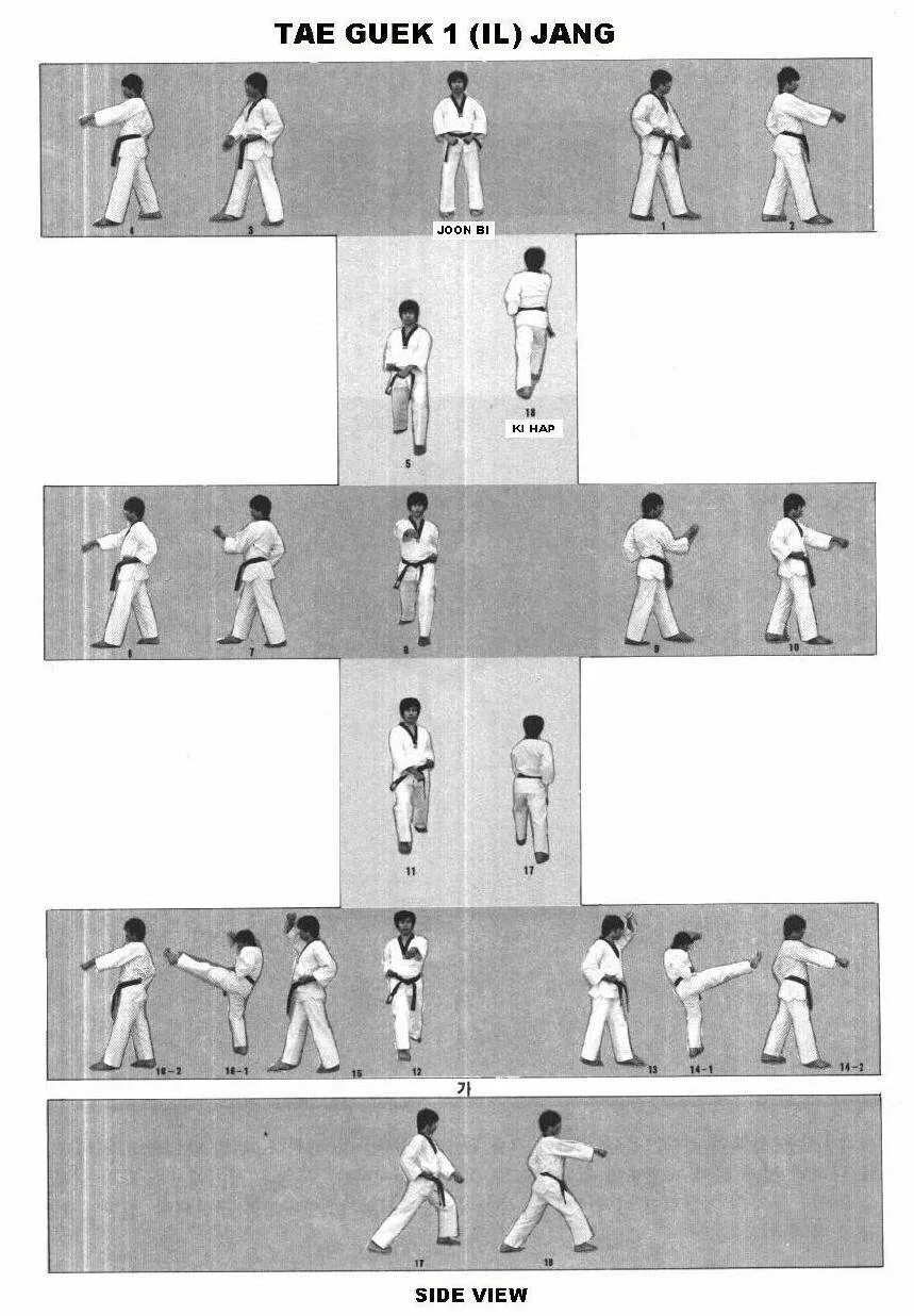 Таэквондо пумсе видео. Пумсе 1 тхэквондо. 1 Пумсе в тхэквондо ВТФ. Пхумсе Тэгук Иль Джан тхэквондо. 2 Пумсе.