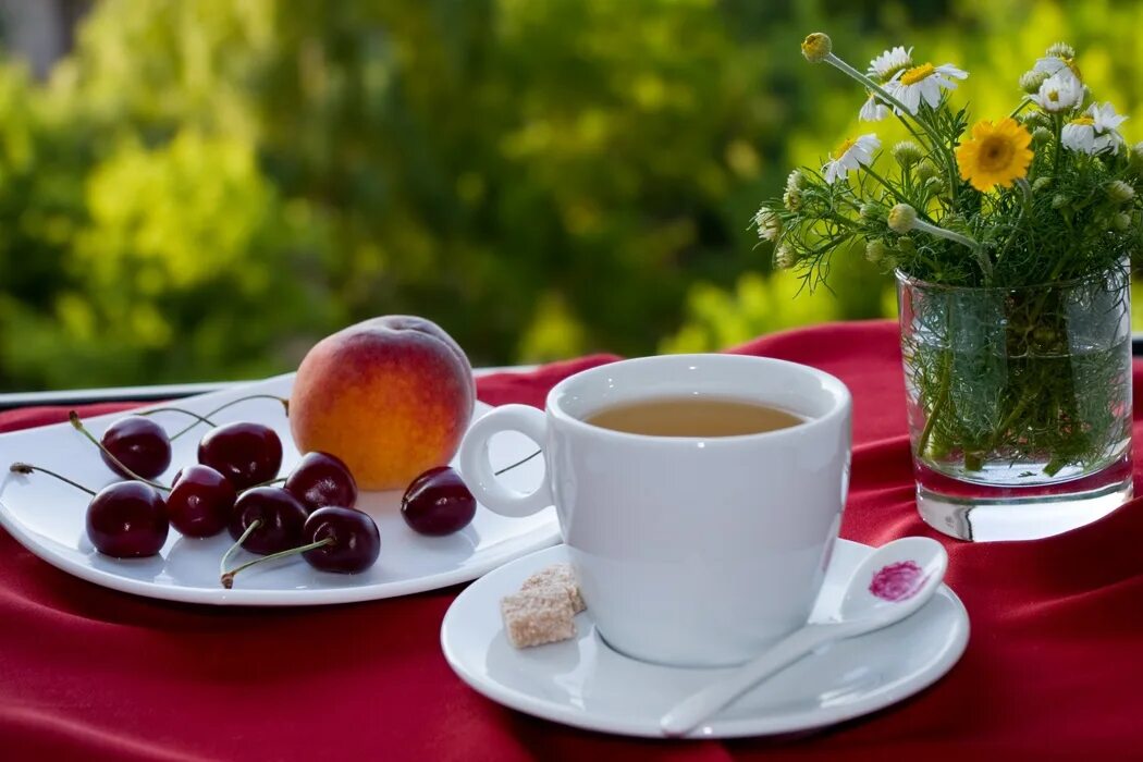 Начало насыщенных дней. Утреннее чаепитие. Доброе утро лето. Летнее чаепитие. Доброе летнее утро.