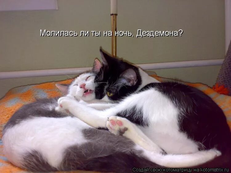 ты молилась на ночь дездемона. молилась ли ты на ночь дездемона прикол. ты молилась на ночь дездемона. ты молилась на ночь дездемона. молилась ли ты на ночь откуда.