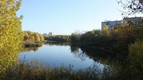 Долина москва река