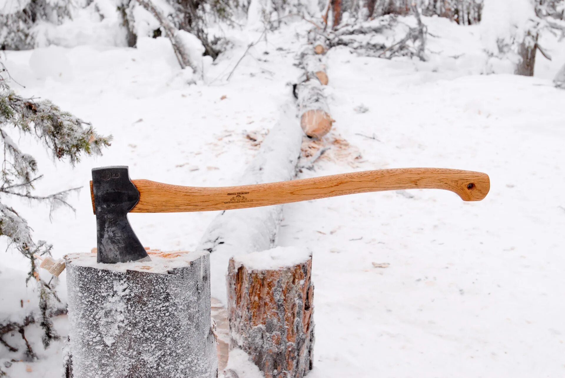 Рубка деревьев. Пень с топором. Топор в дереве. Стук топора. Топор в дереве.
