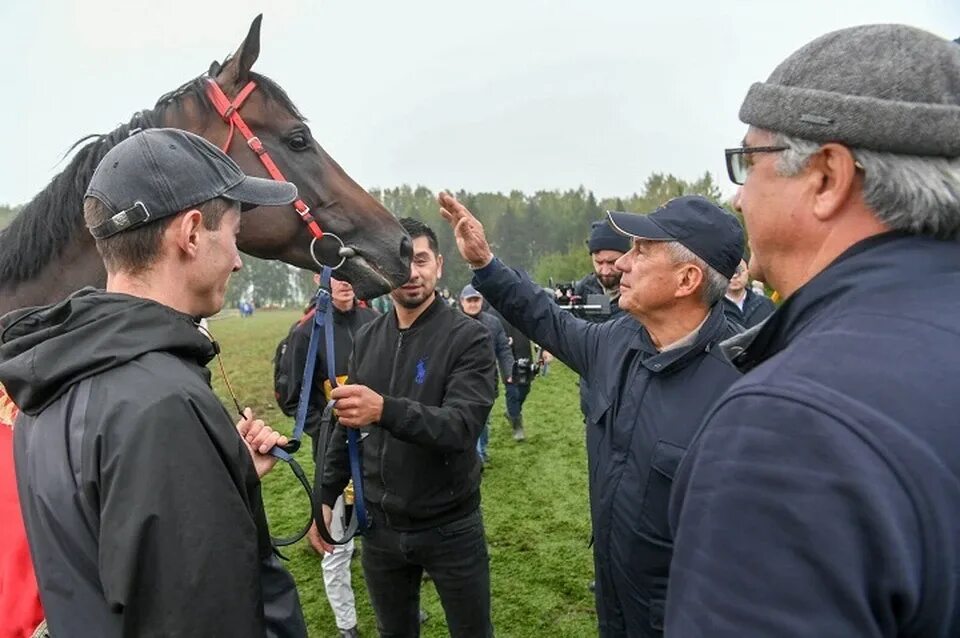 Праздник коня. День лошади в России. Праздники Татарстана. Праздник коня 2024