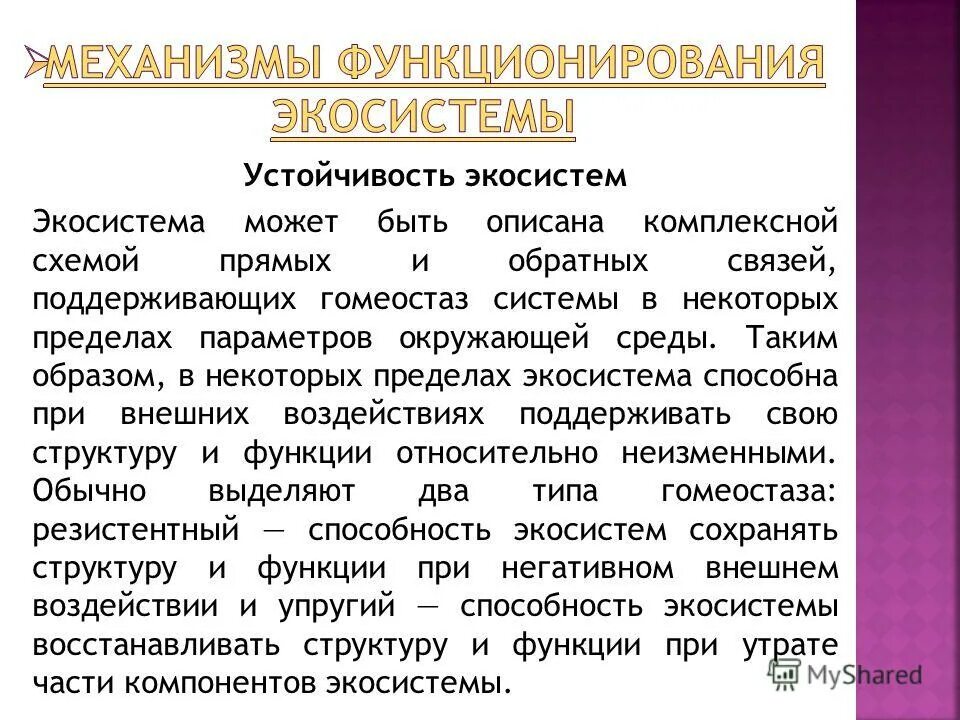 Экосистемы компоненты экосистем презентация. Функционирование экосистем. Механизмы функционирования экосистем. Механизмы для экосистемы. Механизмы устойчивости экосистем.