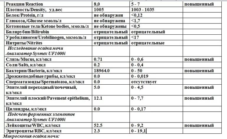 Лейкоциты в моче 2 триместр. Анализ мочи расшифровка бактерии норма. Анализ мочи расшифровка у женщин бактерии норма. Анализ мочи на бактерии расшифровка. Моча показатели нормы бактерий.