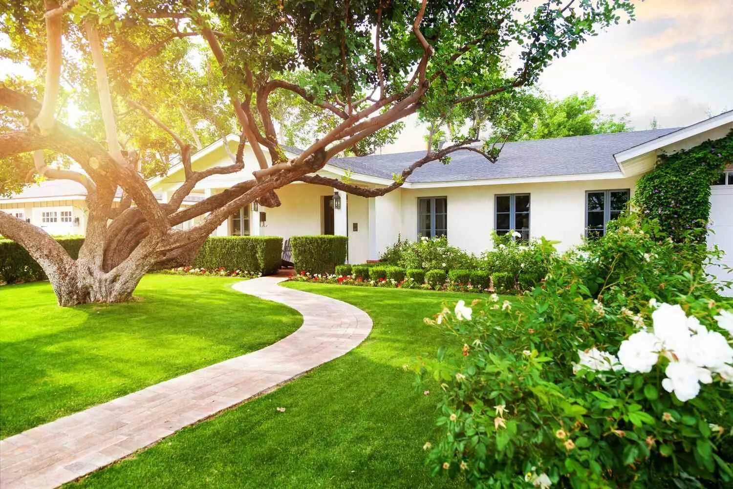 The home garden