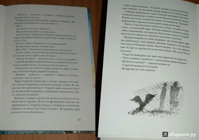 Книга брата главное слово. Книга брата главное слово. Книги внеклассное чтение росмэн. Статья про любовь книга. Тайна брата.