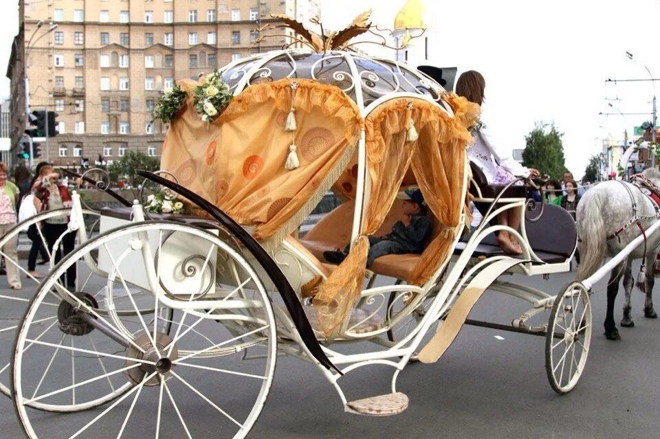 Карета с капюшоном. Открытая карета. Автокарета Новосибирск. Карета для коней 2020.