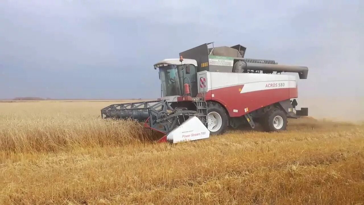 Комбайн рсм 142 акрос 550. Комбайн ростсельмаш акрос 530. Комбайн ростсельмаш акрос 530. Комбайн акрос 595. Комбайн акрос 530.