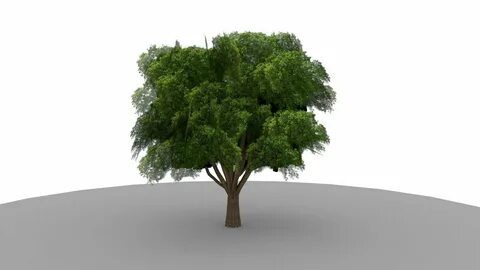 Unity trees