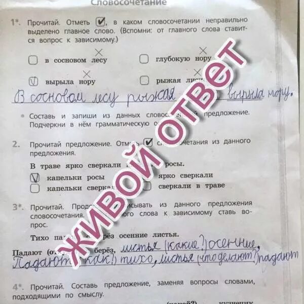 В каком предложении выделено неправильно