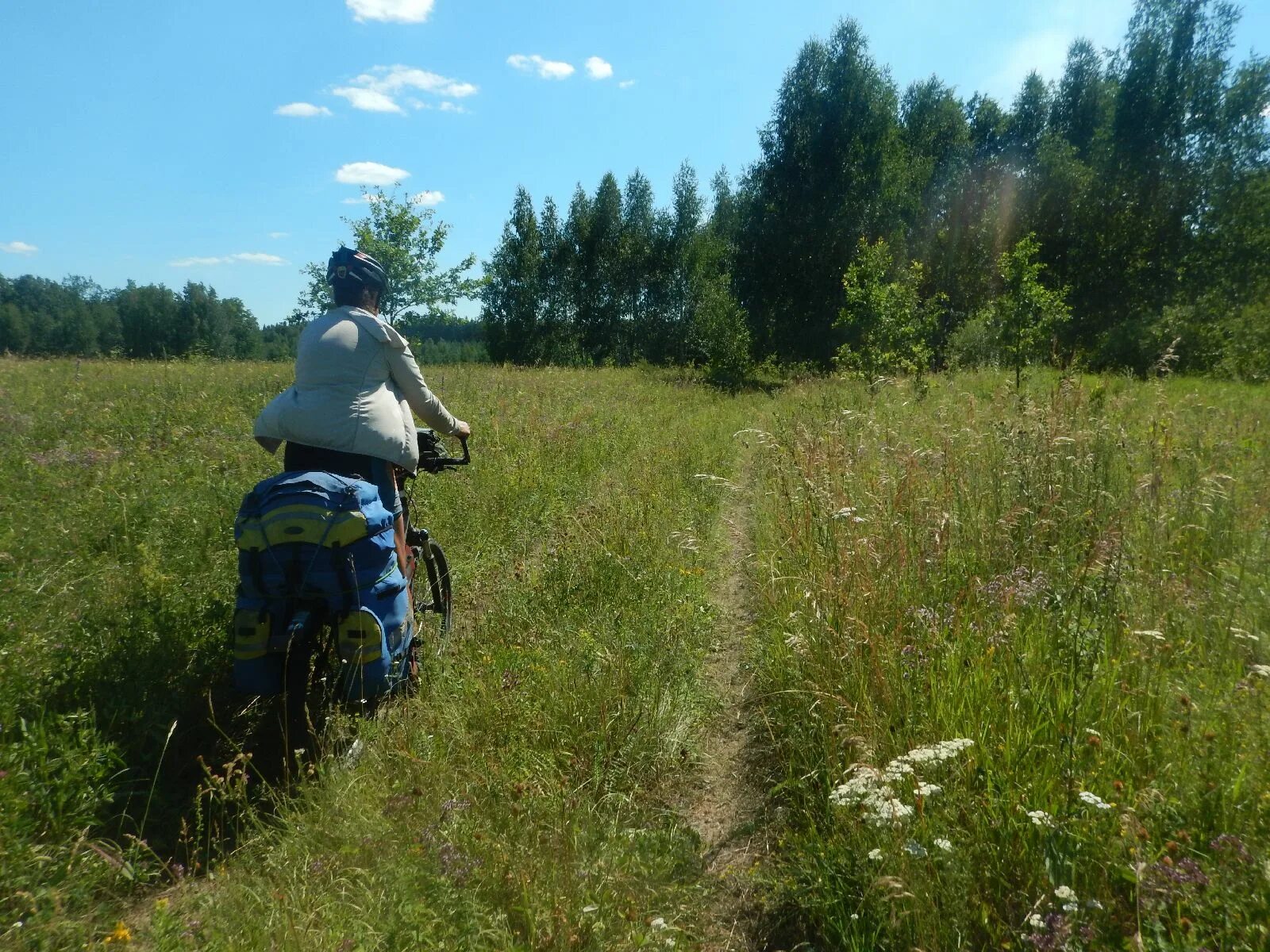 грунтовая 11. выравнивание участка. грунтовая 11. грунтовая 11. геосетка дорожная осс-д 40 укладка.