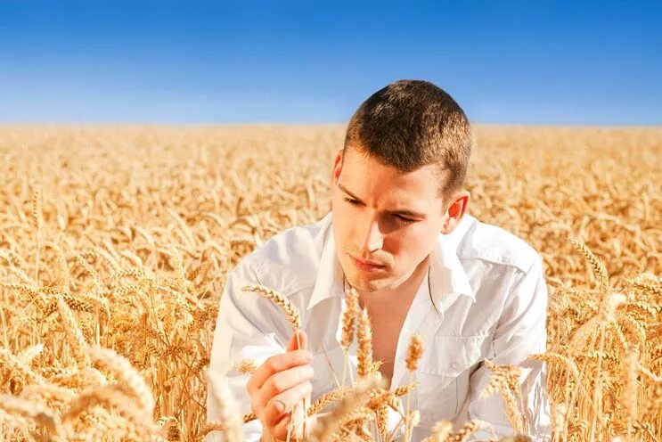 Молодые люди в поле. Мужчина в поле пшеницы. Мужская фотосессия в поле. Мужик с пшеницей. Мужик в поле.