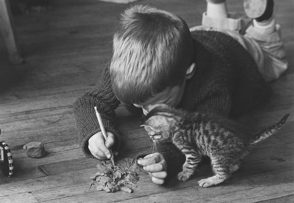 Котенок играет малыша. Кошка мальчик. Мальчик с котом. Советские дети с животными.