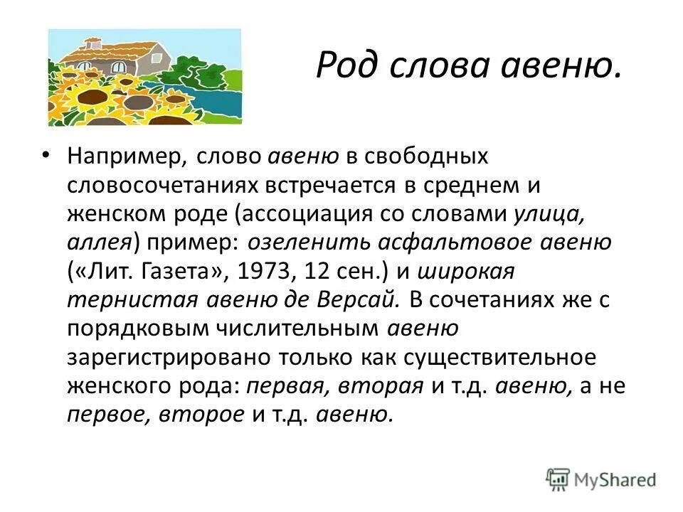 Широкая авеню как правильно пишется. Род слова Авеню. Какого рода слово Авеню. Авеню какой род существительного. Авеню какого рода в русском языке.