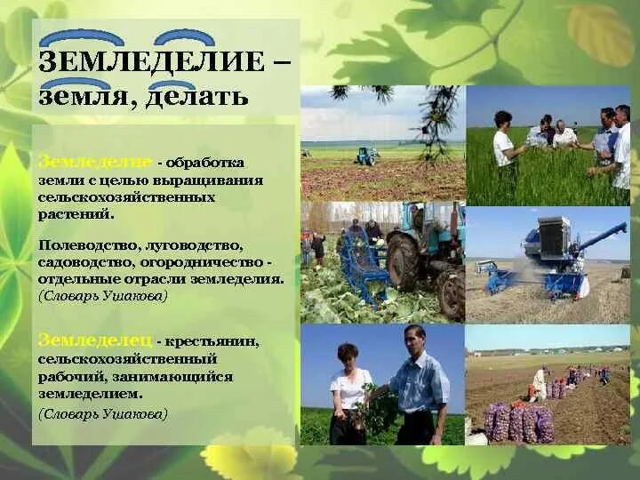 Земледелие информация. Земледелие презентация. сообщение о земледелии. доклад про земледелие. земледелие схема.