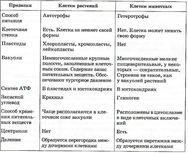 Сравнение органоидов растительной и животной клетки таблица. Сравнение клеток растений и животных таблица органоиды. Сравнение клетки растений и животных таблица сходства и отличия. Сравнение органоидов растительной и животной клетки.