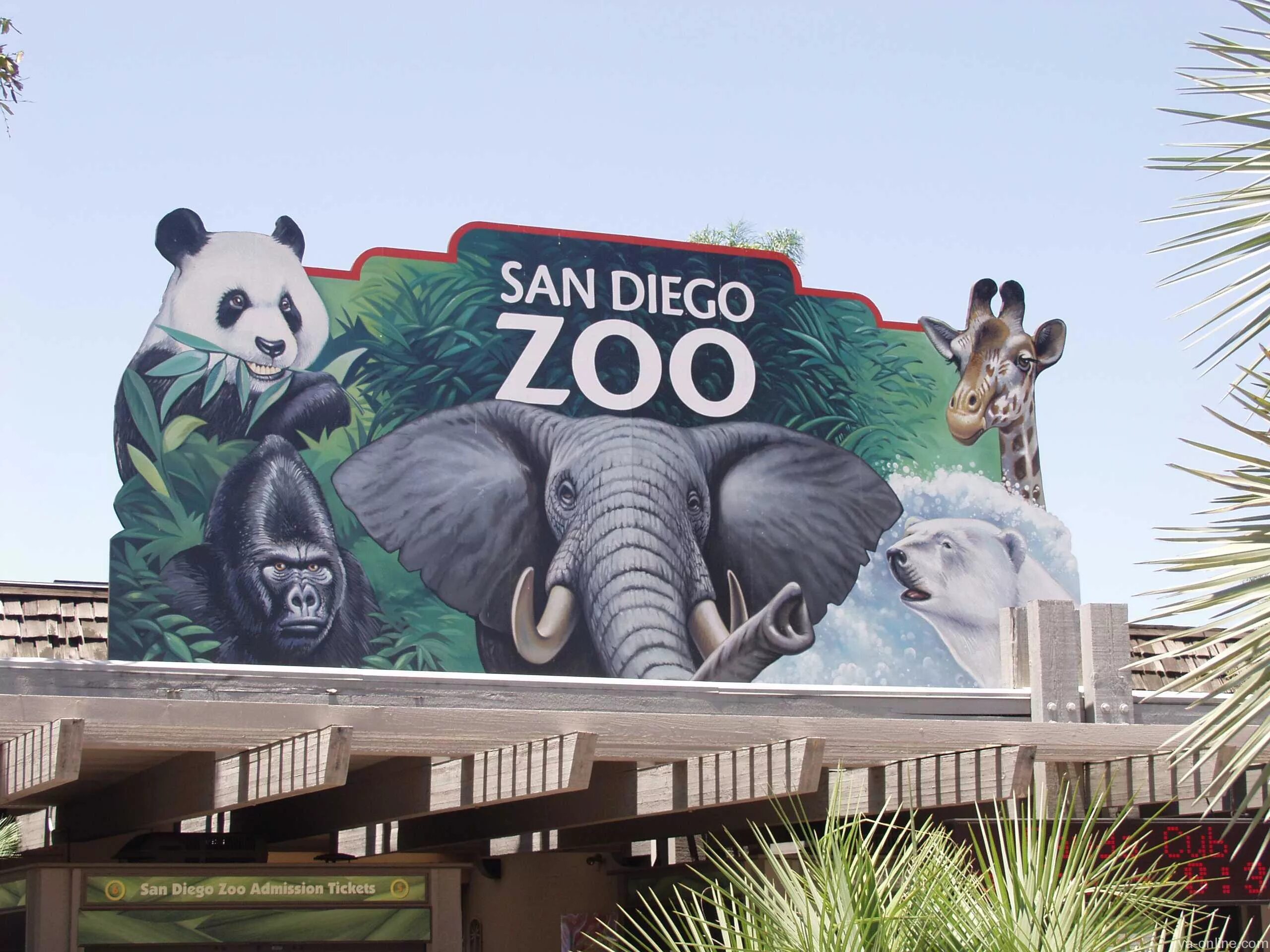 Зоопарк сан-диего (калифорния, сша). Как называется публичный зоопарк в сша. Как называется публичный зоопарк в сша. Зоопарк в новой зеландии. Сафари-зоопарк сан диего.