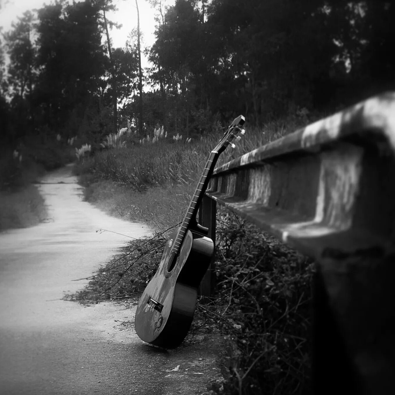 Красивый пейзаж с гитарой. Гитара чб. Гитарист под дождем. Гитара дождь.