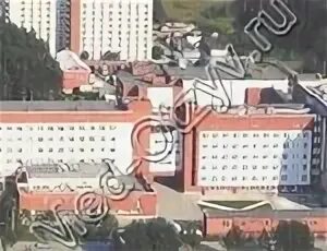 Репина 4 госпиталь