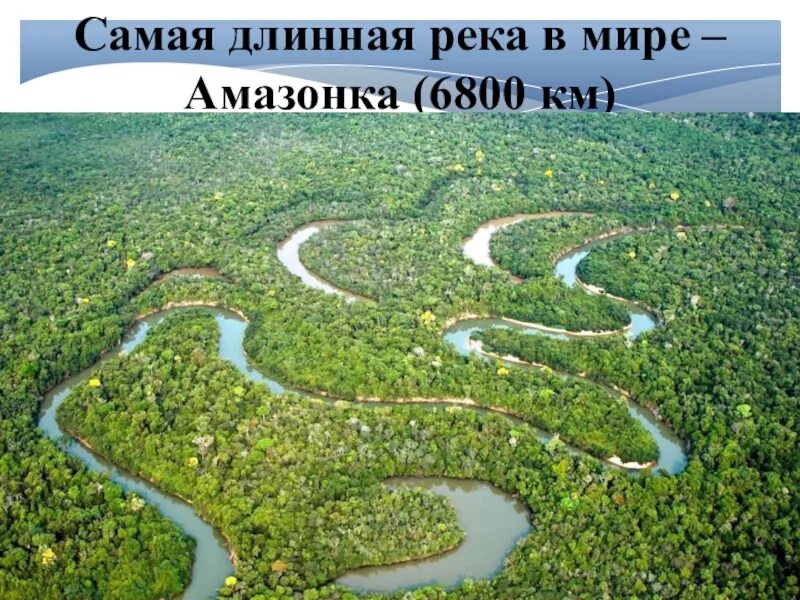 Самая длинная река Амазонка. Сампя длинная Руека ВМИРЕ. Самая длинная ёлка в мире. Самая протяженная река в мире.