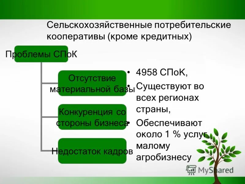 Сельский потребительский